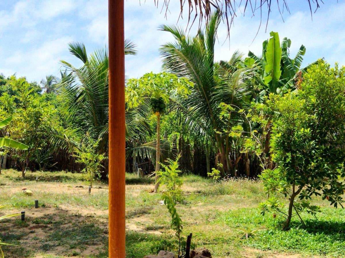 Dune Towers Kalpitiya Buitenkant foto