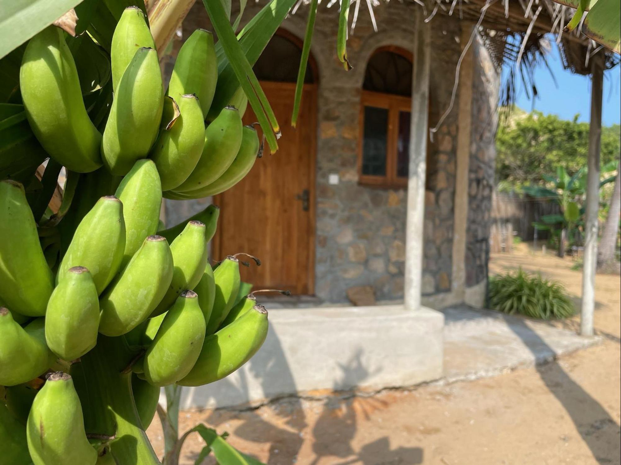 Dune Towers Kalpitiya Buitenkant foto