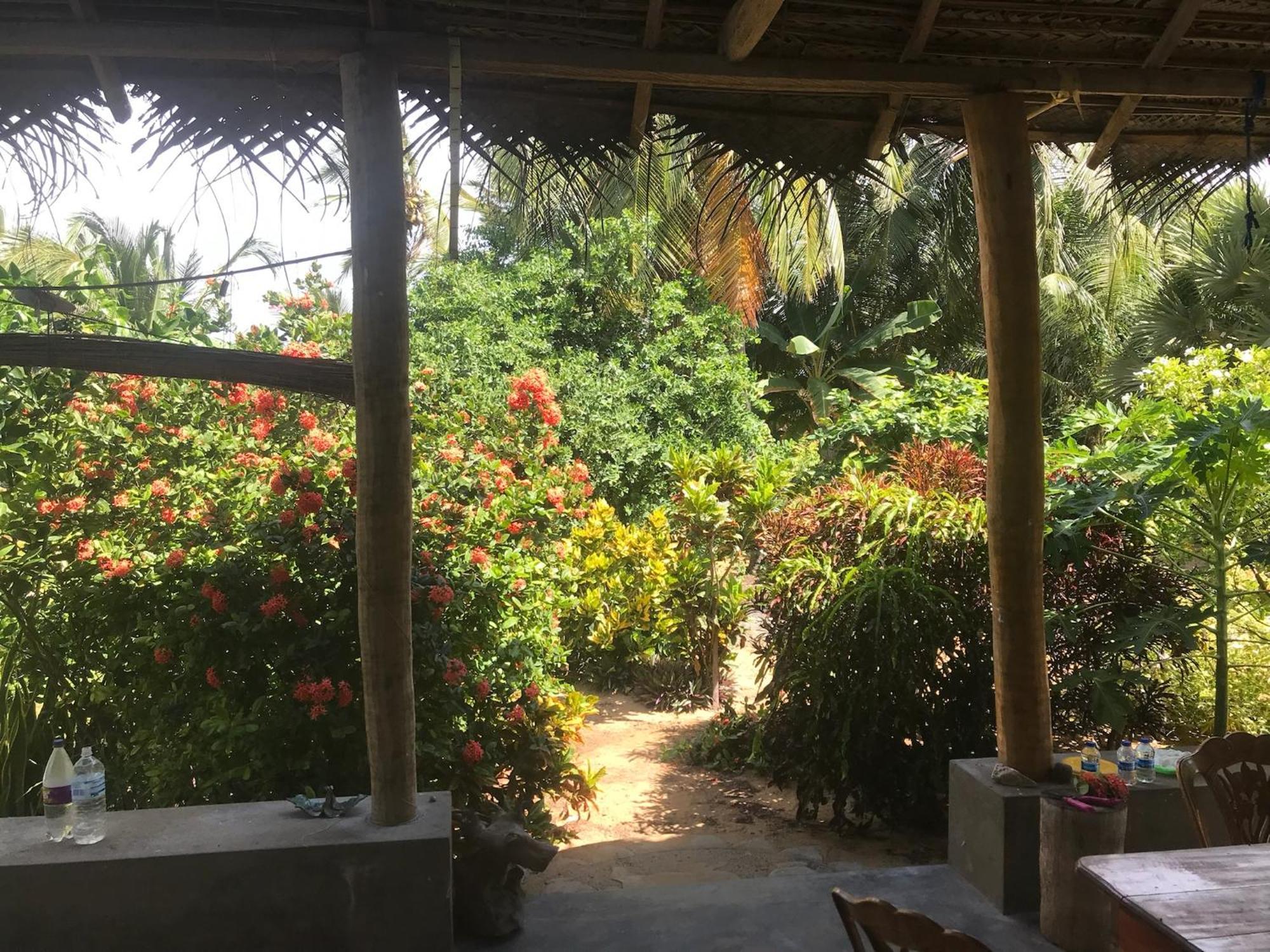 Dune Towers Kalpitiya Kamer foto